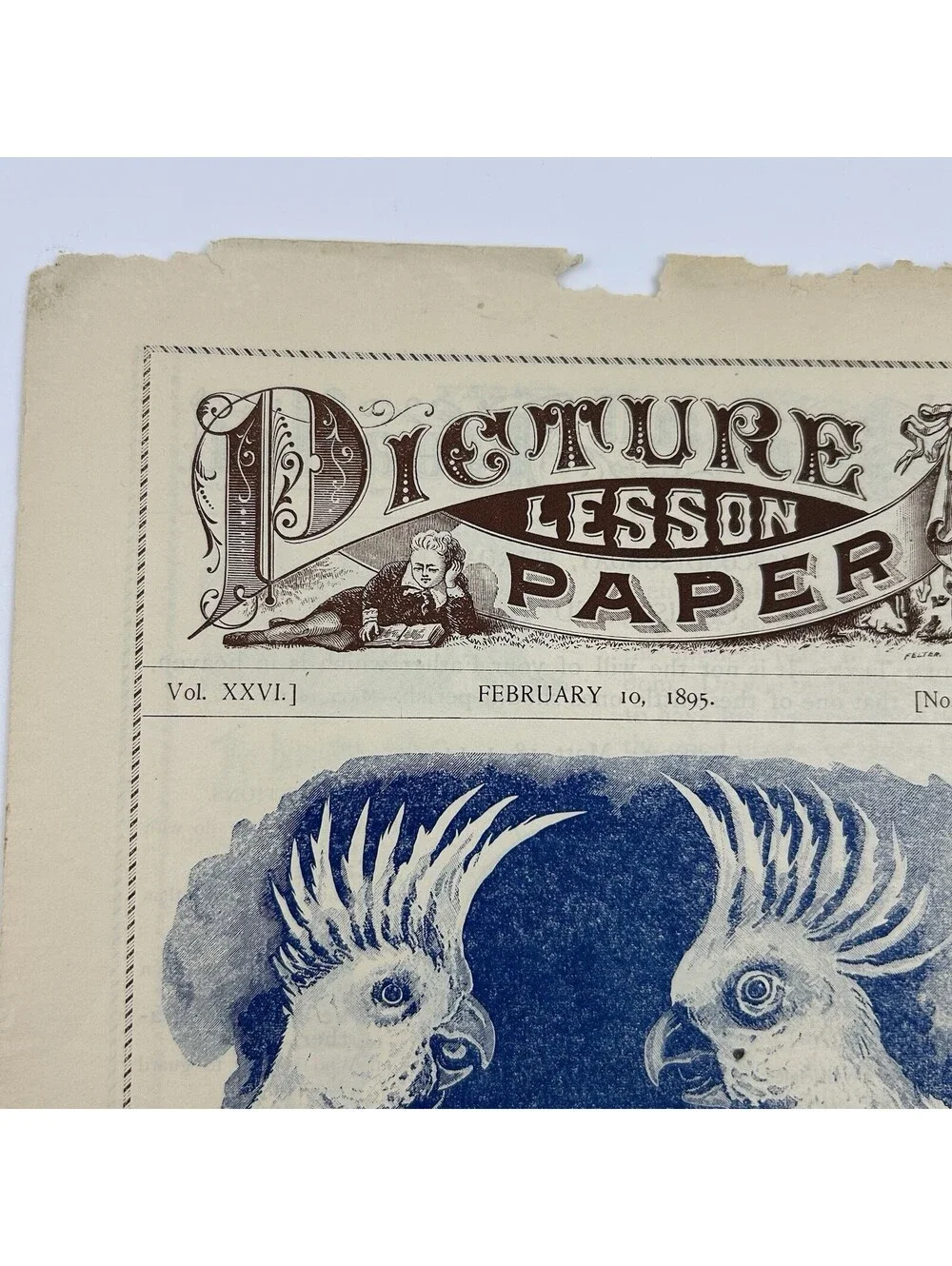 Antique 1895 Picture Lesson Paper Polly & Patsy Cockatoo Parrot Ephemera     C19